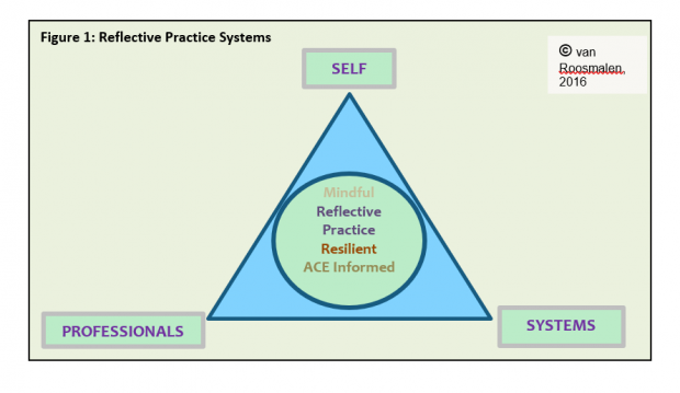 Triangle diagram setting out the reflective practice system